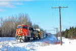 CN 3903 leads 306 at C.N.R Road